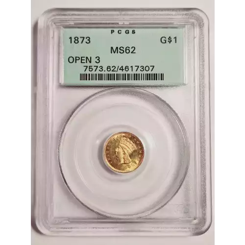 1873 G$1 Open 3