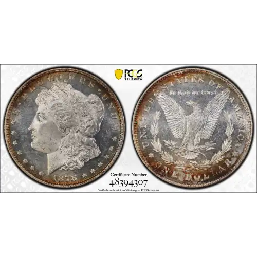 1878 7TF $1 Reverse of 1878, PL (3)