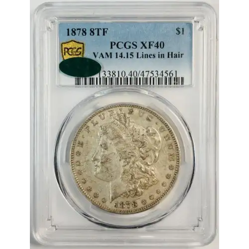 1878 8TF $1 VAM 14.15 Lines in Hair