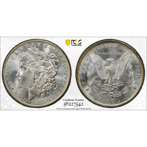 1883-O $1 (3)