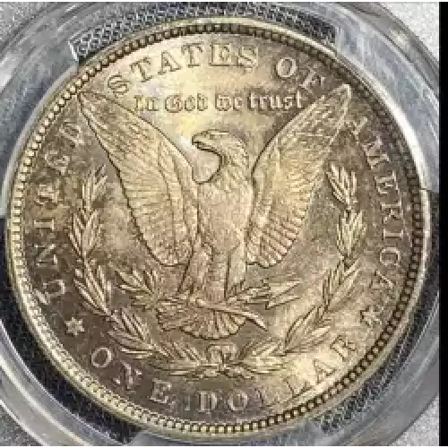1884 $1 (5)