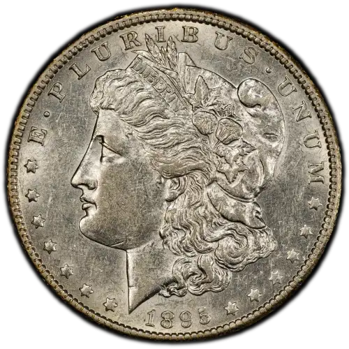 1895-O $1 (4)
