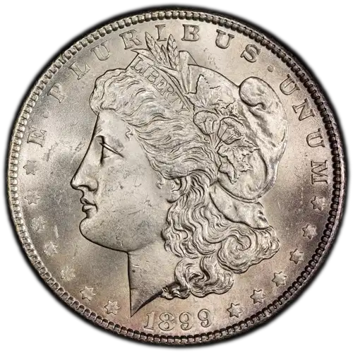 1899 $1 (4)