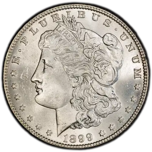 1899 $1 (4)