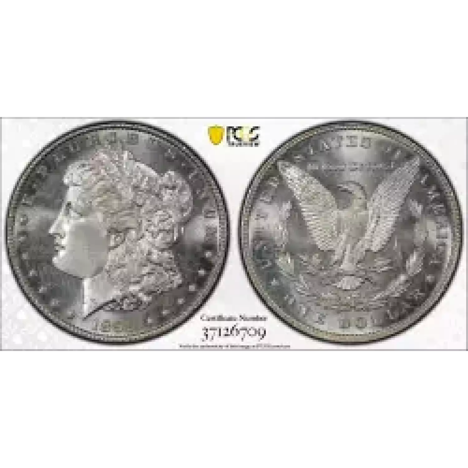 1899 Morgan Silver Dollar PCGS MS-66+ PL CAC, Sight White - Bob Paul ...