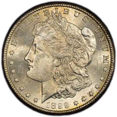 1899-S $1 (4)