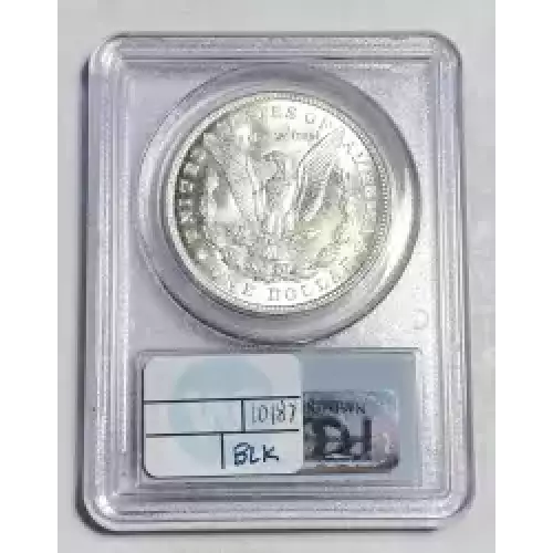 1921 $1 Morgan Pitted Reverse (2)