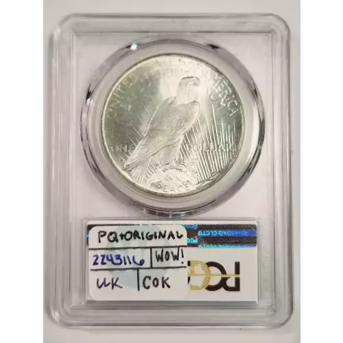 1922 $1 VAM 2C Extra Hair