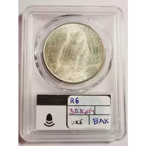 1923-D $1 VAM 1E Extra Hair (2)