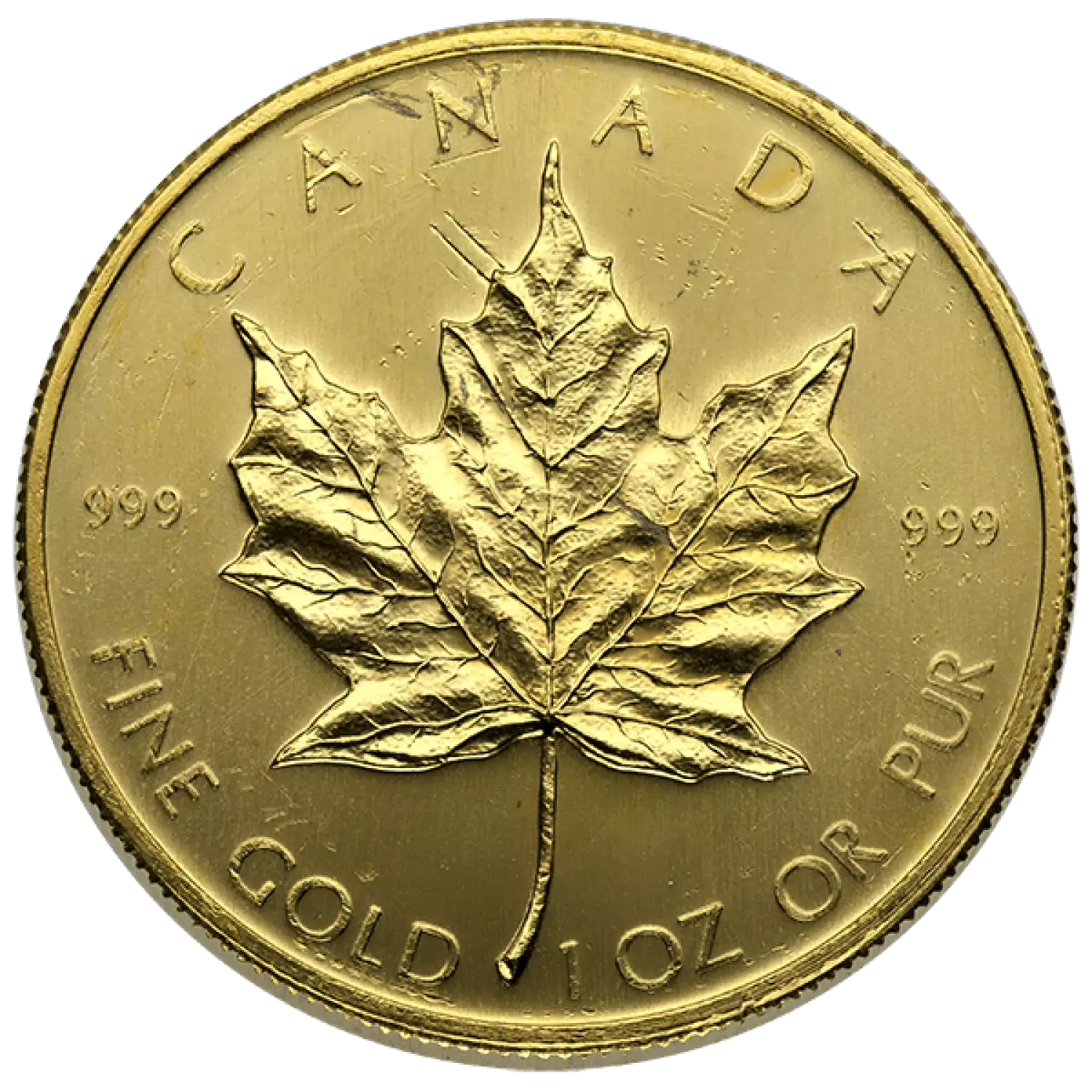 1oz Canadian Gold Maple Leaf - Scruffy (2)
