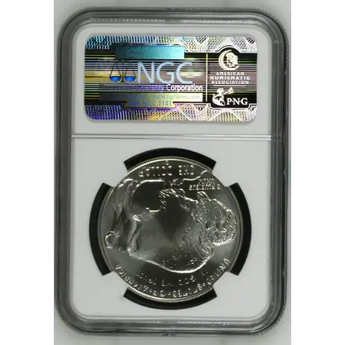 2001 BUFFALO (4)