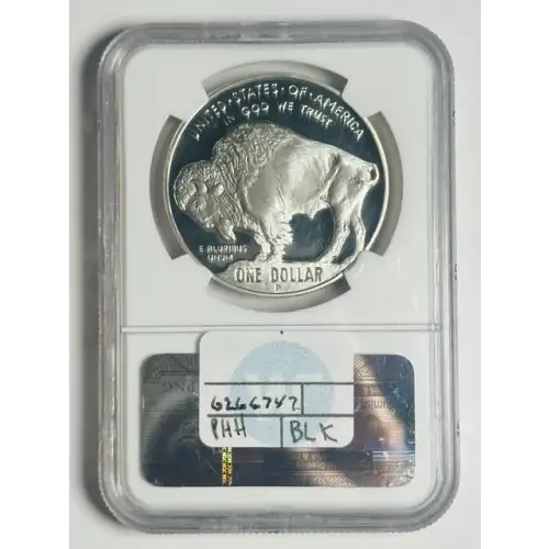 2001 BUFFALO ULTRA CAMEO (2)