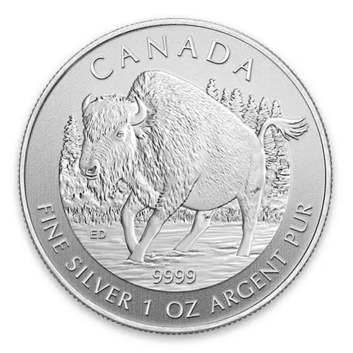 2013 1oz Canadian Silver Wildlife Series - Wood Bison (2)