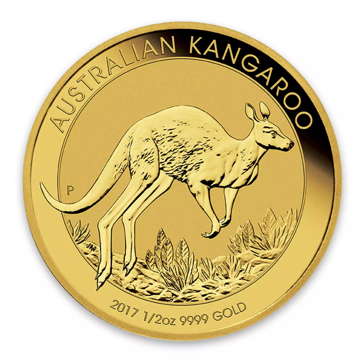 2017 1/2oz Bullion Kangaroo Coin (3)