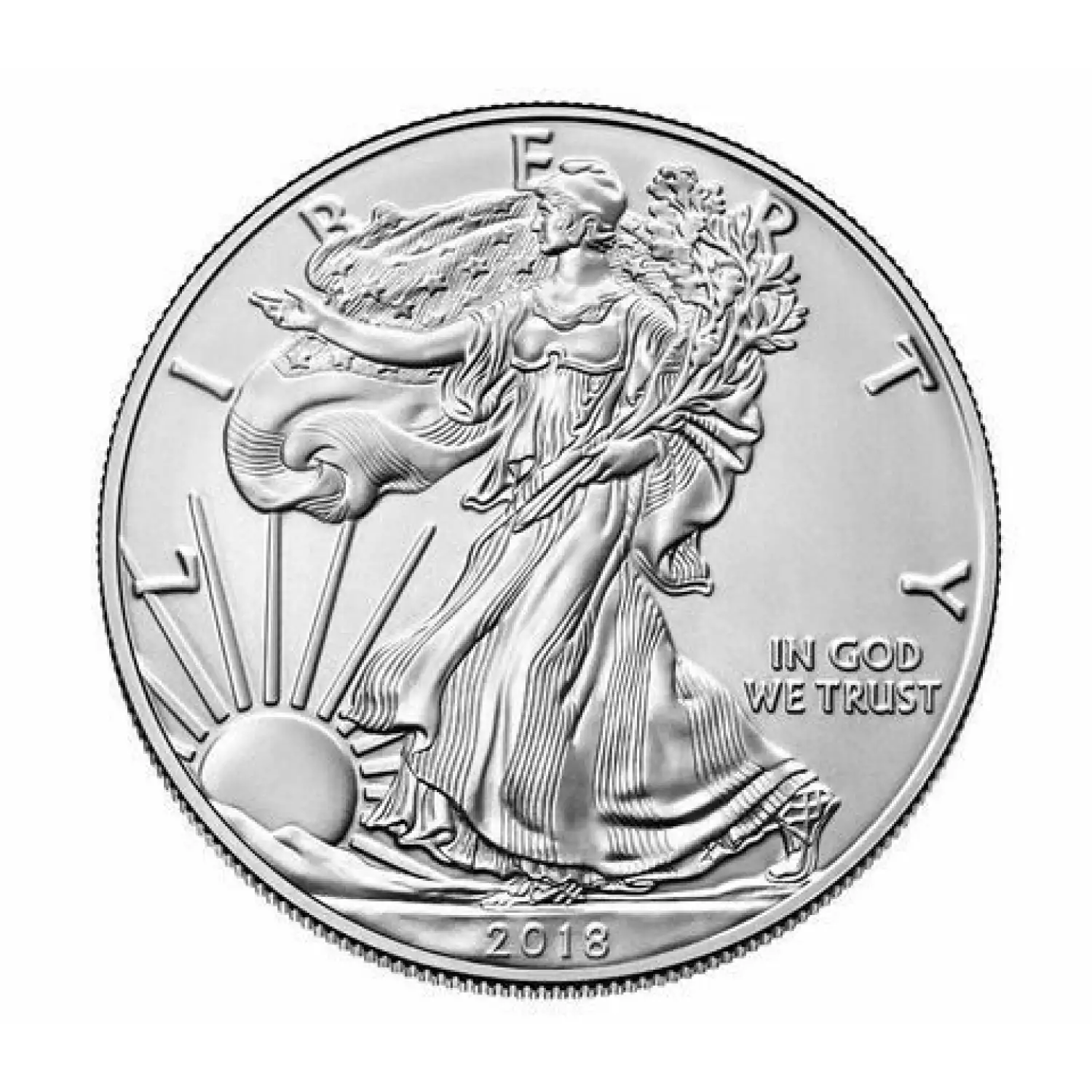 2018 1oz American Silver Eagle (2)