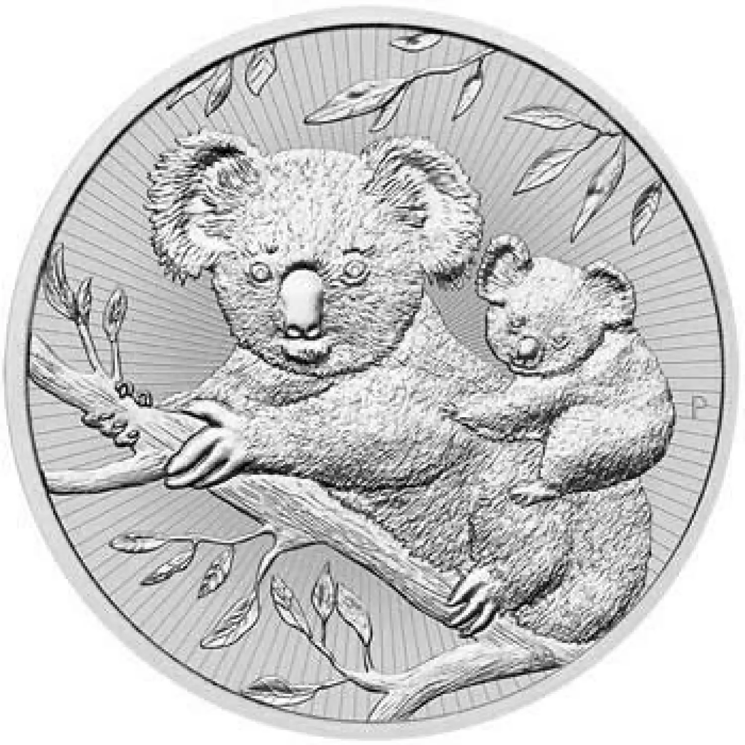2018 2oz Australian Perth Mint Silver Koala (3)