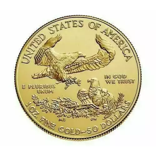 2019 1oz American Gold Eagle (5)