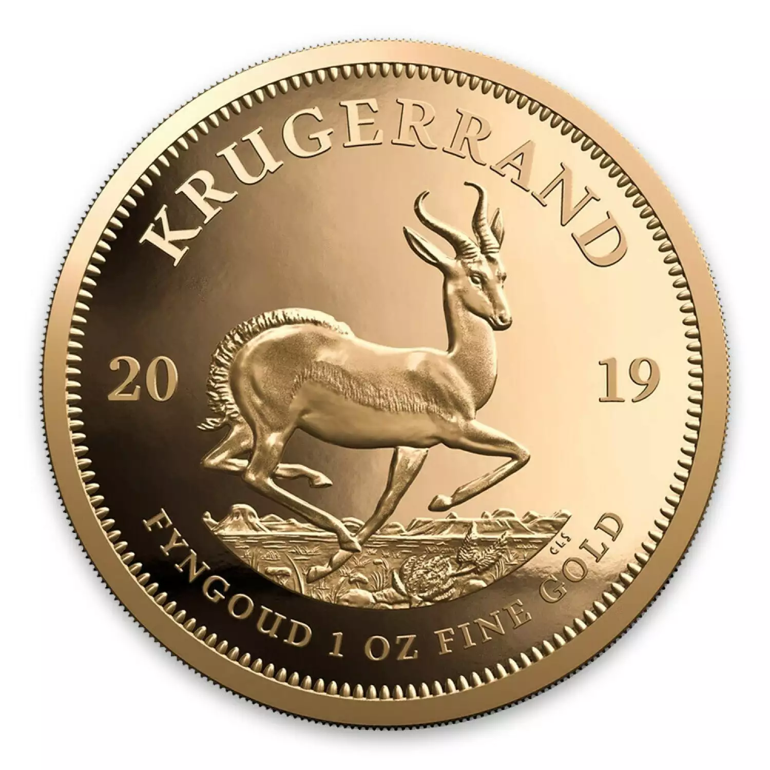 2019 1oz South African Gold Krugerrand (2)