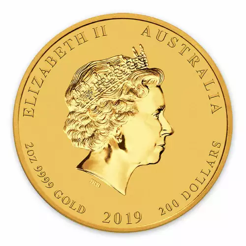 2019 2oz  Australian Perth Mint Gold Lunar Year of the Pig (3)