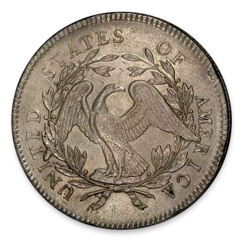 Draped Bust Dollar (1795 - 1804) - AU