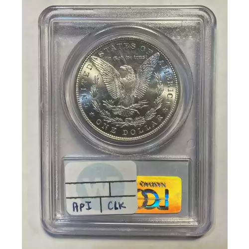 Morgan Silver Dollar (2)