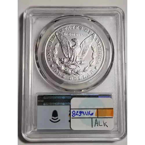 Morgan Silver Dollar