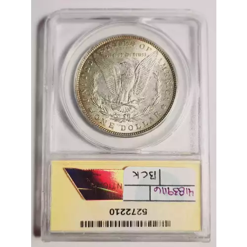 Morgan Silver Dollar (2)