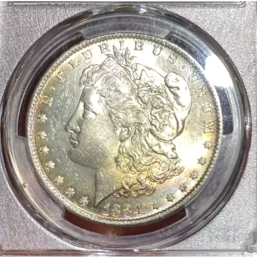 Morgan Silver Dollar (2)