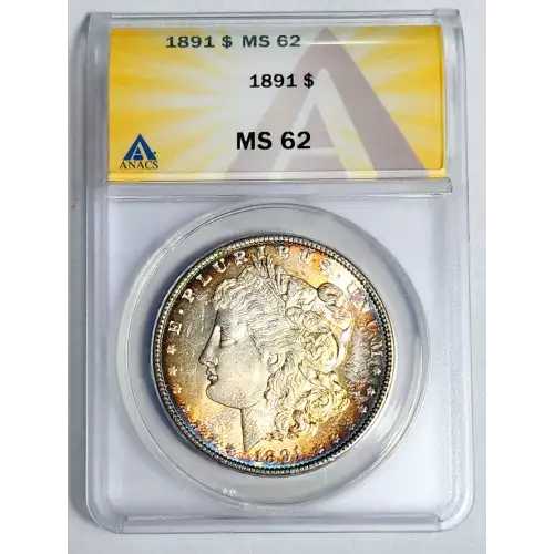 Morgan Silver Dollar