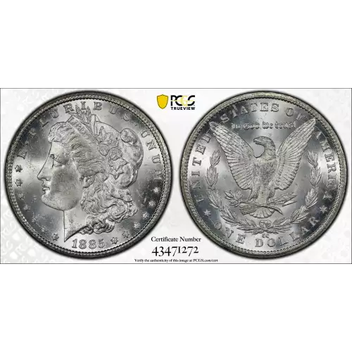 Morgan Silver Dollar (4)