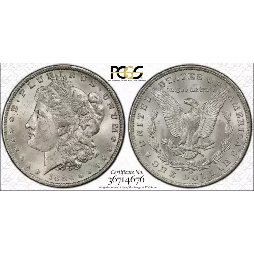 Morgan Silver Dollar (4)