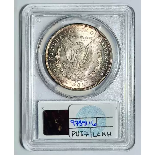 Morgan Silver Dollar