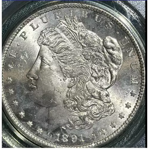 Morgan Silver Dollar