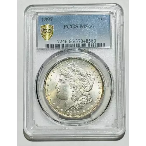 Morgan Silver Dollar