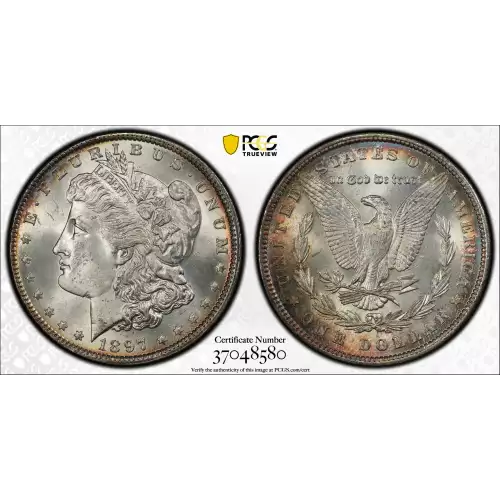 Morgan Silver Dollar (3)