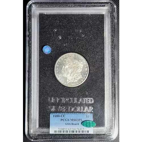 Morgan Silver Dollar