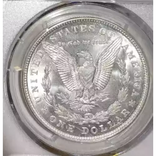 Morgan Silver Dollar (7)