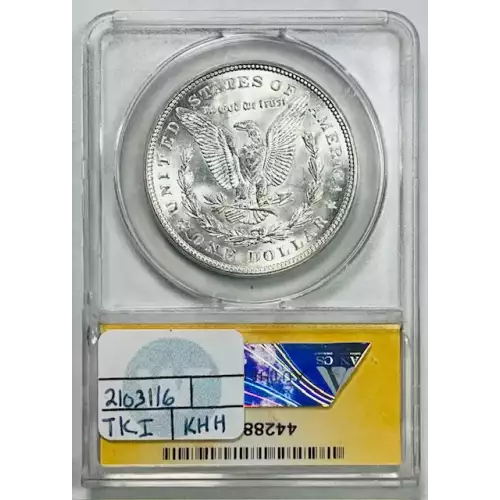 Morgan Silver Dollar (2)