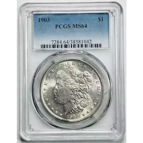 Morgan Silver Dollar