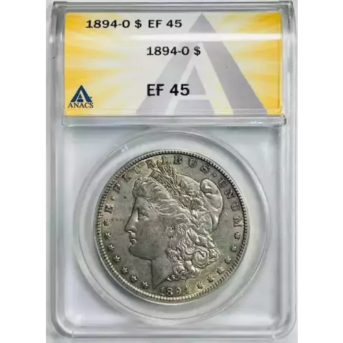 Morgan Silver Dollar