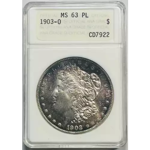 Morgan Silver Dollar