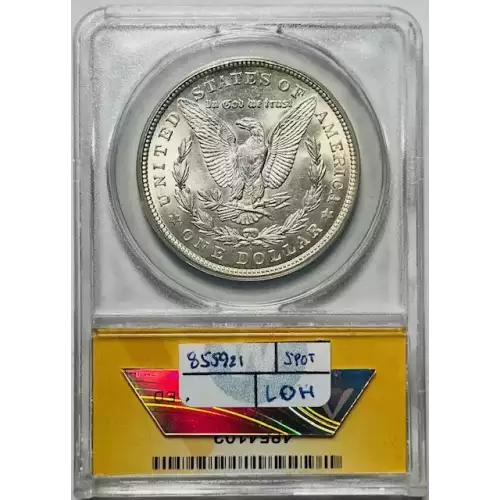 Morgan Silver Dollar
