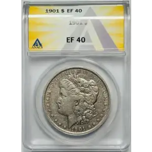 Morgan Silver Dollar