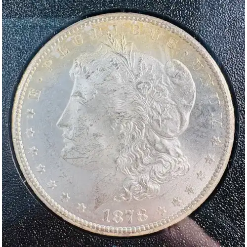 Morgan Silver Dollar