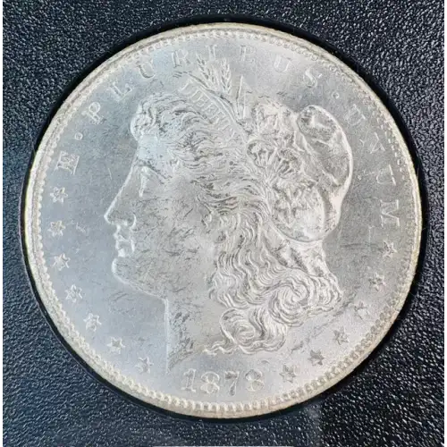 Morgan Silver Dollar