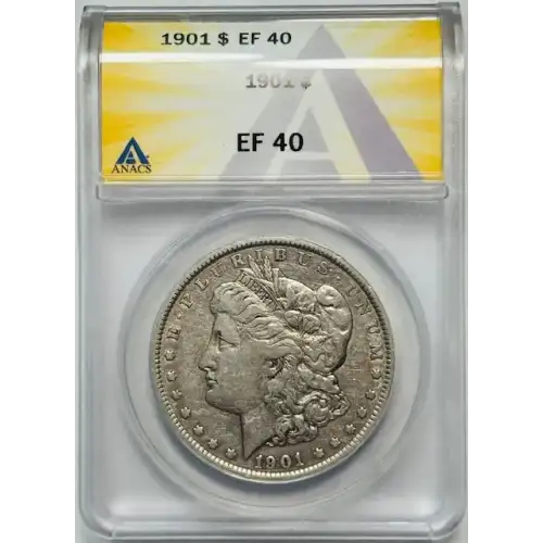 Morgan Silver Dollar