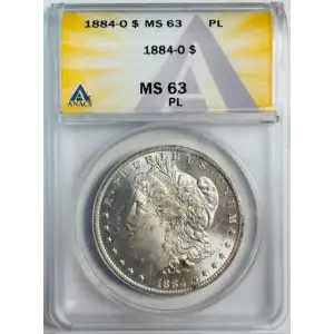 Morgan Silver Dollar