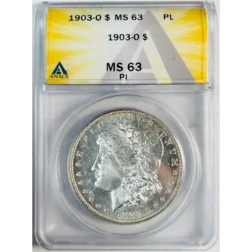 Morgan Silver Dollar