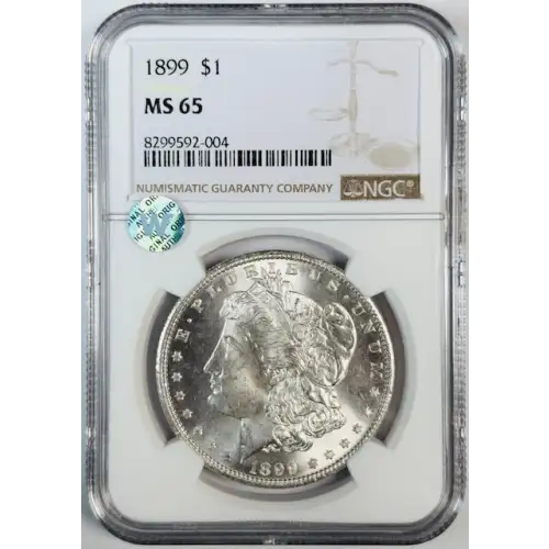 Morgan Silver Dollar