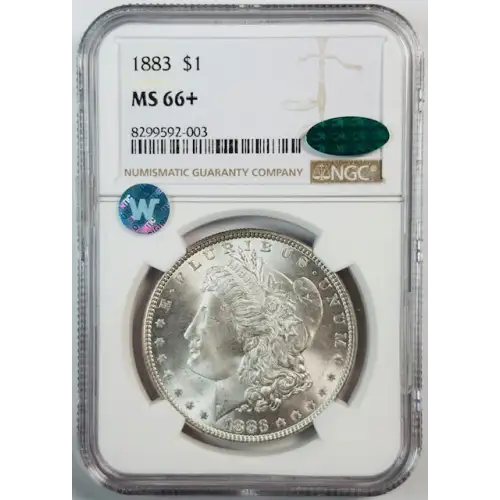 Morgan Silver Dollar
